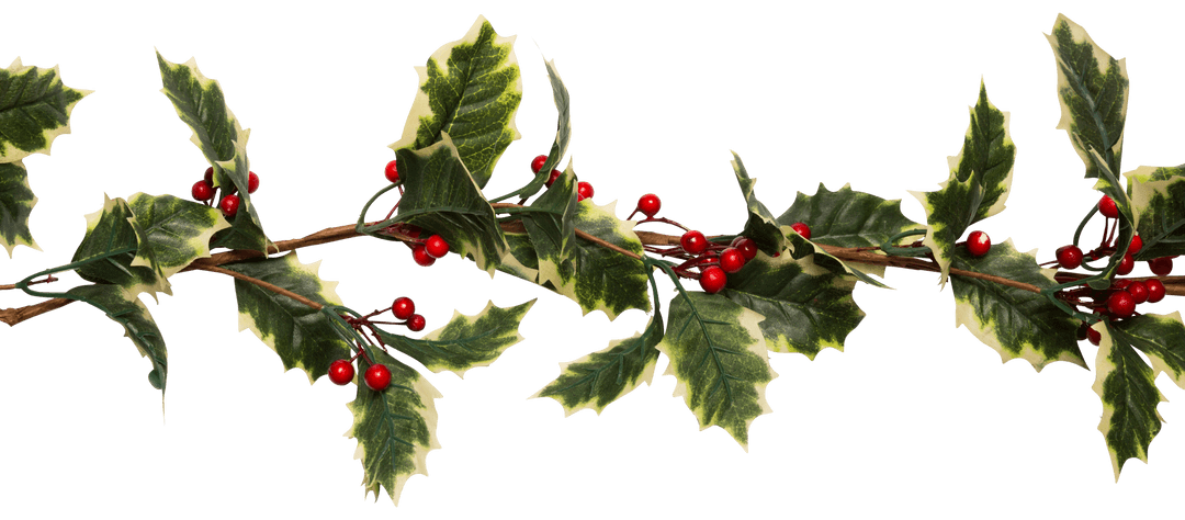 Transparent Christmas Holly Garland with Red Berries