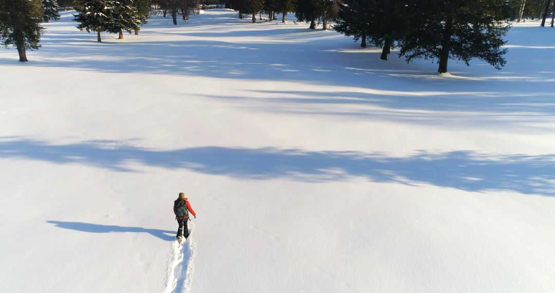 Aerial View of Adventurer Hiking in Snowy Wilderness