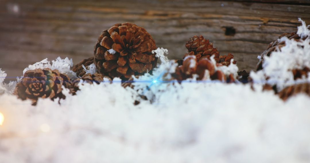 Festive Fir Tree Cones with Glowing Lights