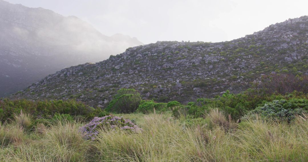 Misty Mountain Slope with Grassy Shrubland and Rocky Outcrops