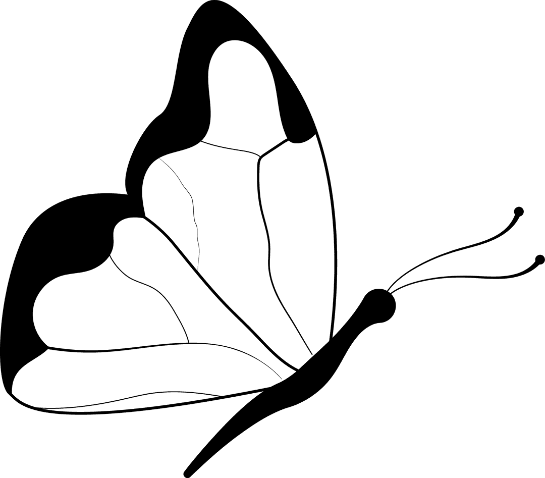 Transparent Silhouette of Butterfly Line Drawing