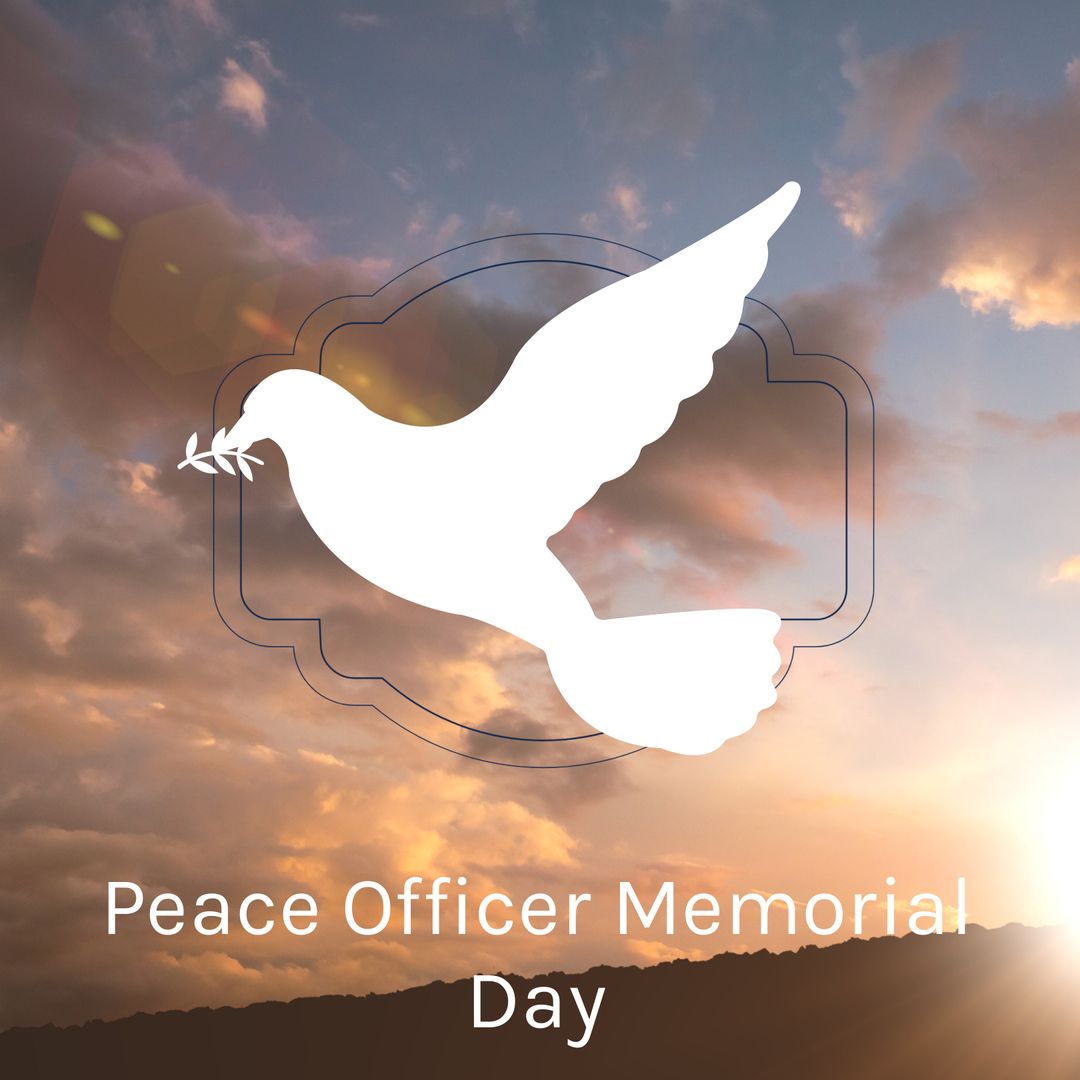 Dove with Olive Branch Symbolizing Peace Officer Memorial Day at Sunset