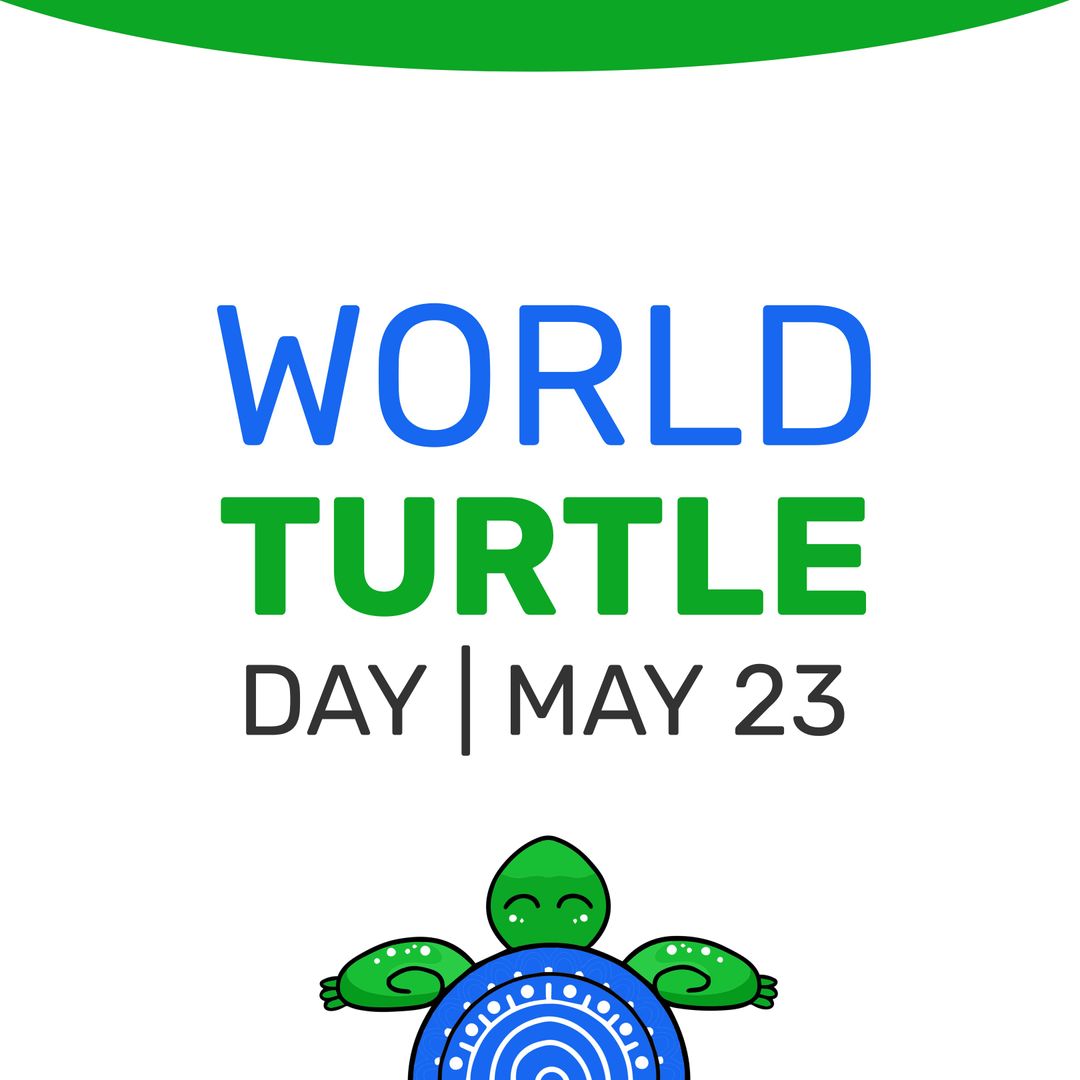 World Turtle Day Announcement with Celebratory Turtle Graphic