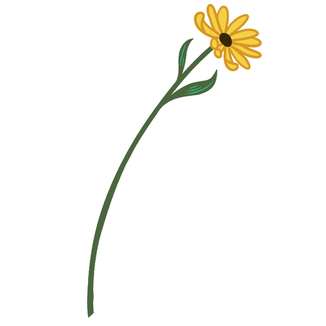 Transparent Minimal daisy flower with yellow petals on stem