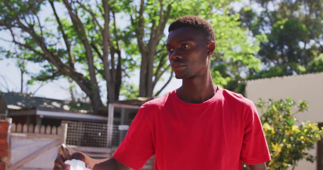 Volunteer Tending Dogs at Outdoor Animal Shelter