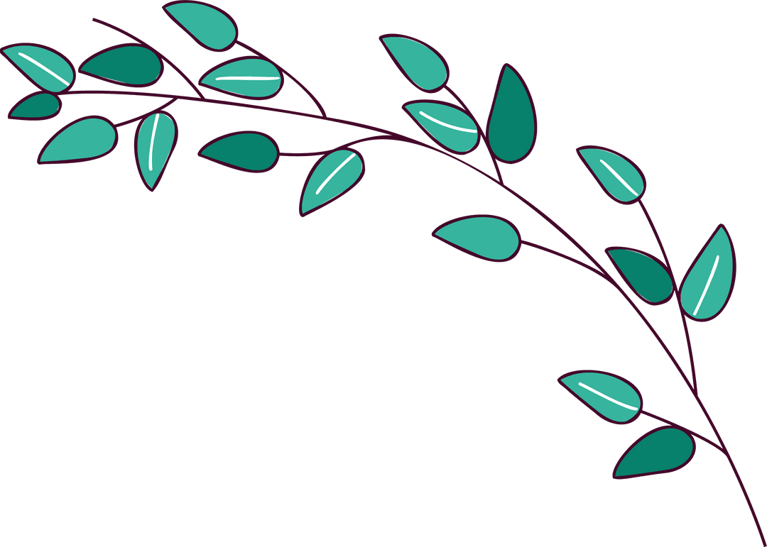 Minimalistic Vine Branch with Leaves on Transparent Background