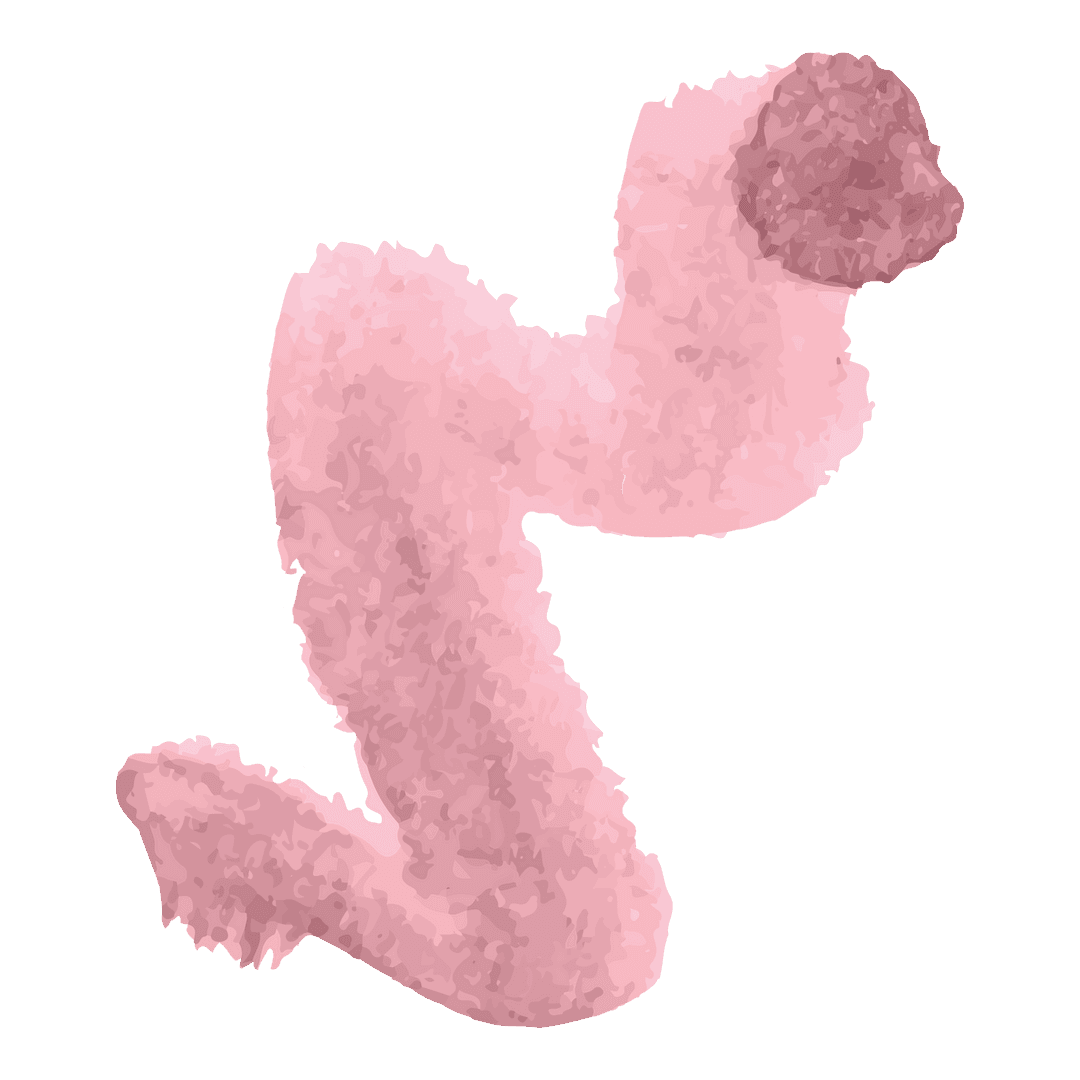 Abstract Pink Zigzag Doodle on Transparent Background