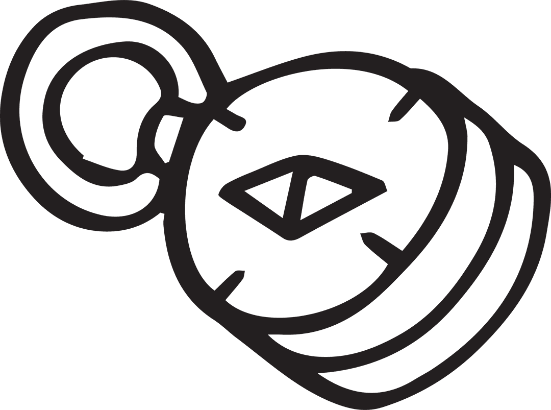 Black Outline Compass Vector on Transparent Background for Travel Design