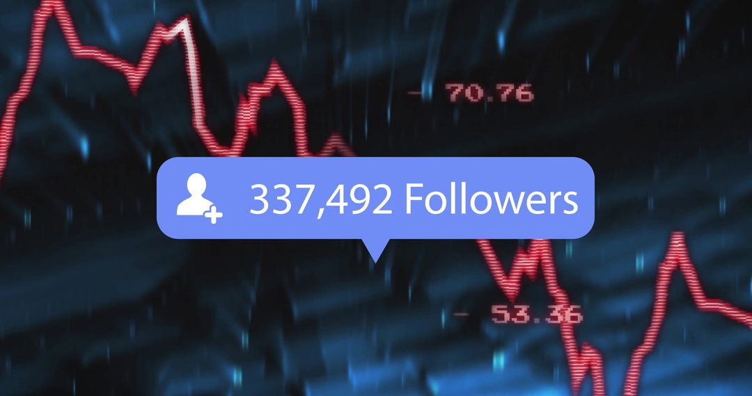 Digital Analytics: Followers and Dynamic Data Visualization