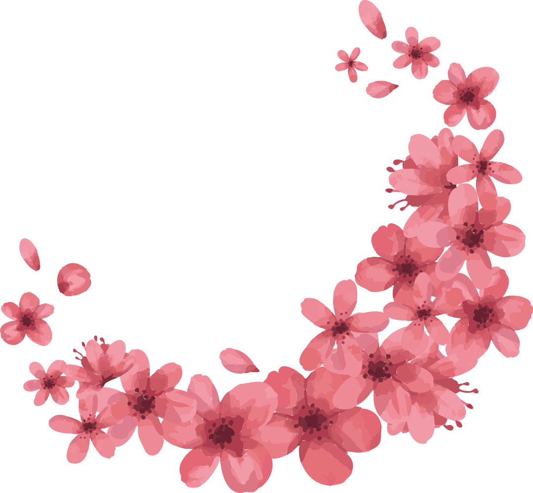 Cherry Blossom Wreath Elegant Design Transparent Background
