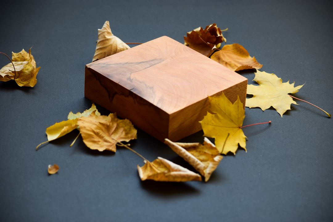 Beautiful Wooden Box Surrounded by Autumn Leaves - Free Images, Stock Photos and Pictures on Pikwizard.com