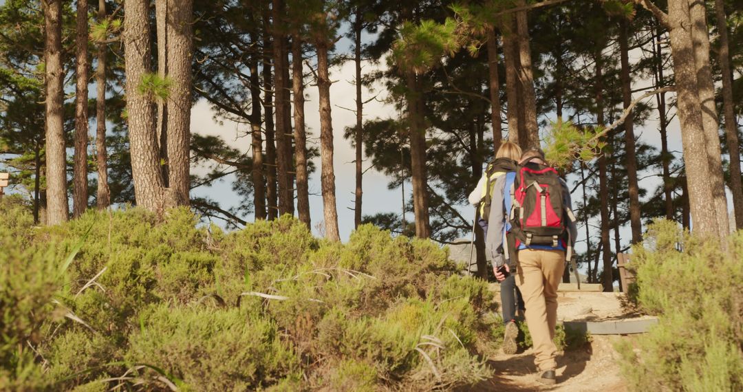 Two Hikers Walking in Forest - Free Images, Stock Photos and Pictures on Pikwizard.com