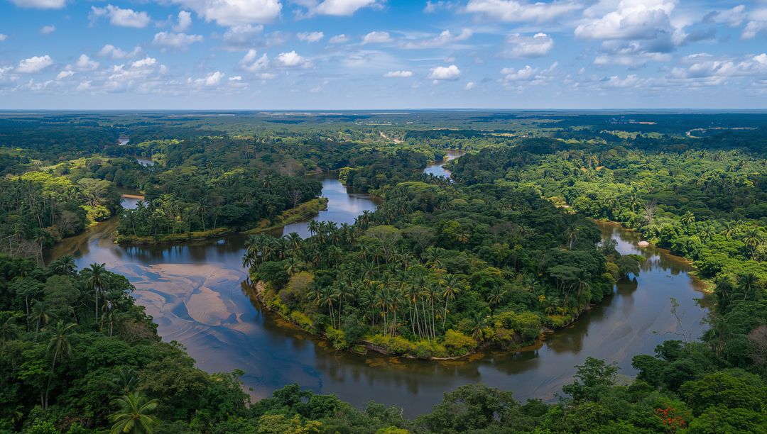 Winding tropical river threading lush rainforest with sandbars and palm islands