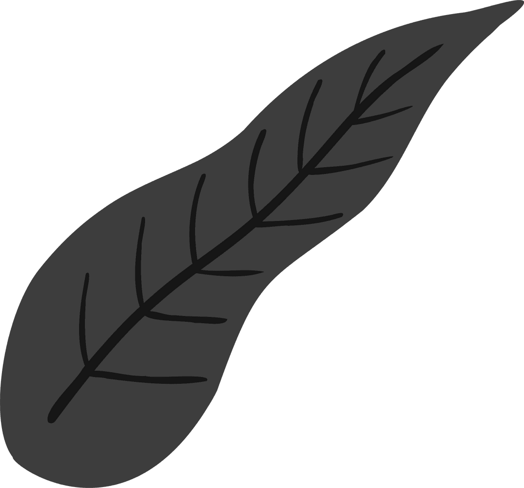 Minimalist Dark Leaf Silhouette on Transparent Background