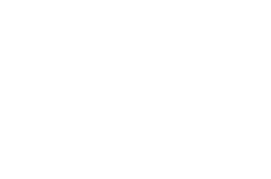 Transparent Pattern with White Flowers