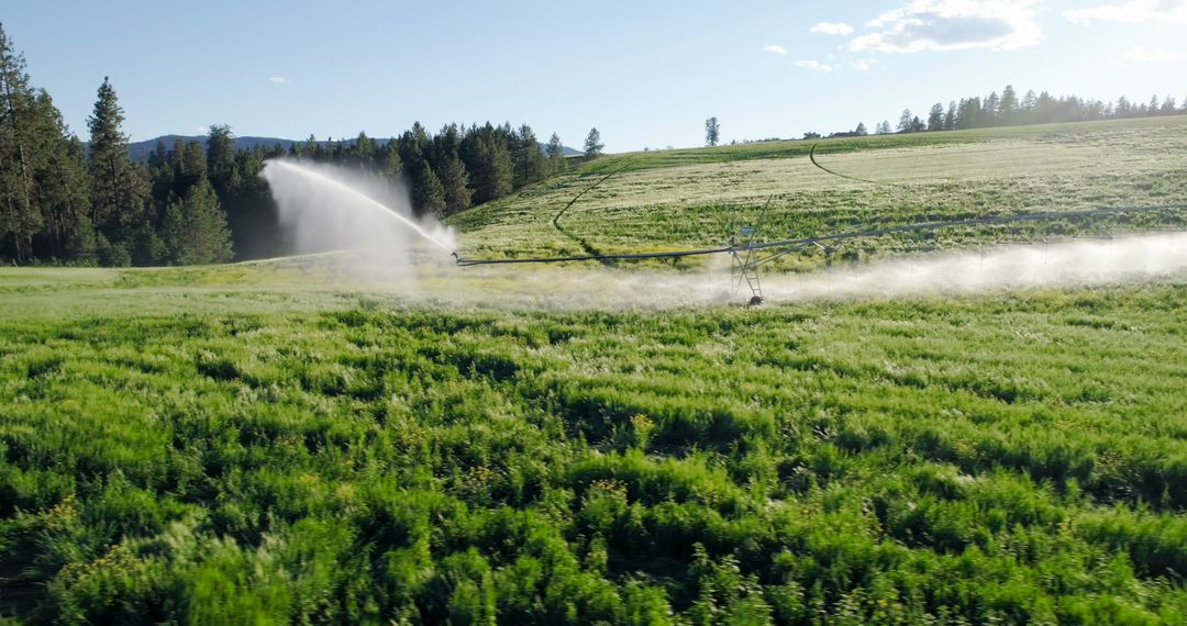 Automatic Sprinkler Watering Green Field in Summer - Free Images, Stock Photos and Pictures on Pikwizard.com