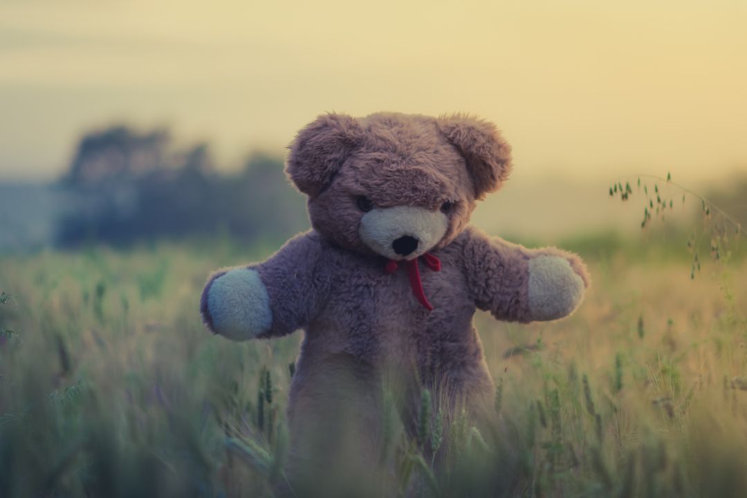 Teddy Bear Standing in Field at Sunset - Free Images, Stock Photos and Pictures on Pikwizard.com