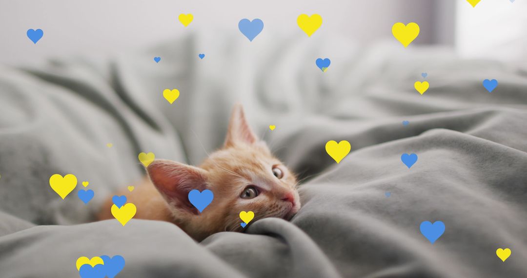 Cute Orange Kitten Relaxing on Bed with Colorful Hearts