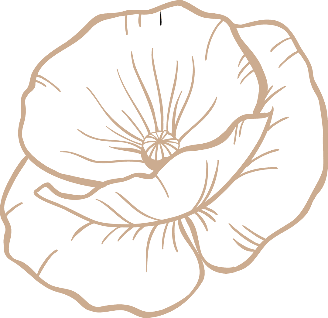Stylized Transparent Floral Illustration with Layered Petals