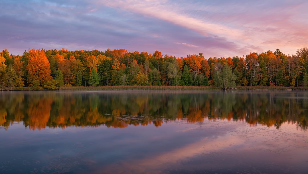 Autumn treeline reflecting on calm lake at sunrise with pastel pink clouds and mirror surface