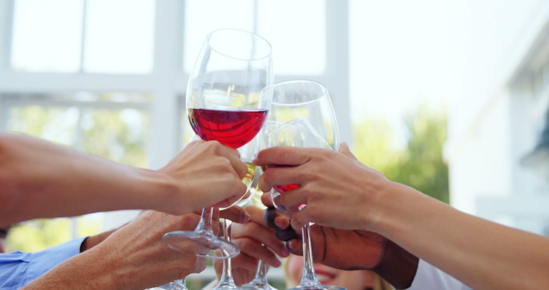 Group of Friends Toasting with Wine Celebrating Joyful Moments