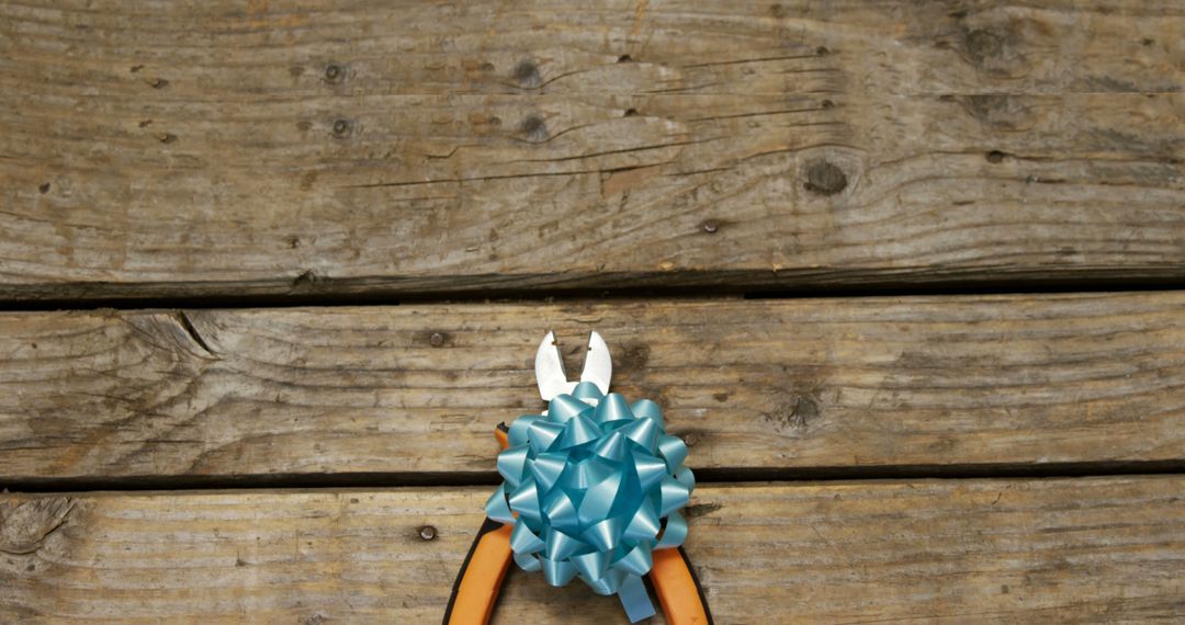 Decorative Bow and Scissors on Rustic Wooden Surface - Free Images, Stock Photos and Pictures on Pikwizard.com