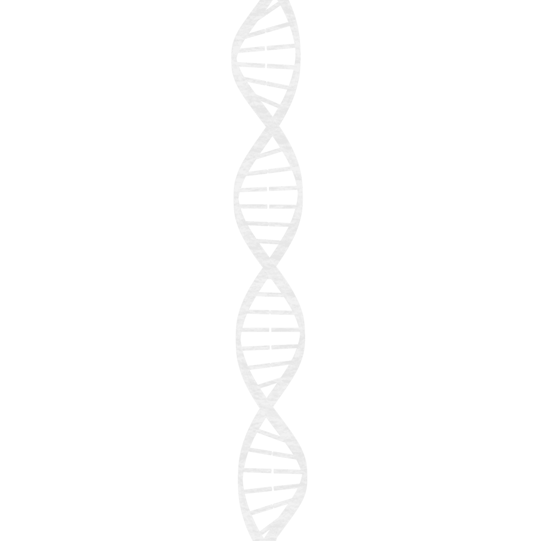 White Transparent DNA Strand Icon on Clear Background