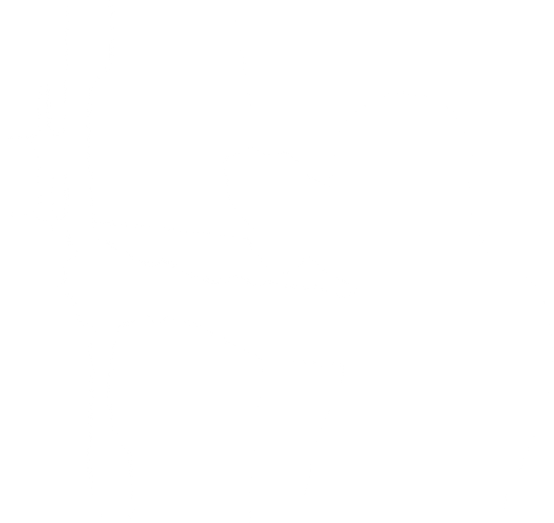 Silhouette of Male Archer with Bow and Arrow on Transparent Background - Download Free Stock Images Pikwizard.com