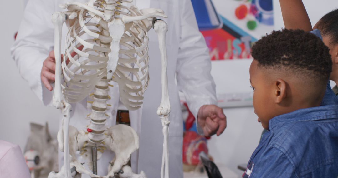 Teacher Explaining Human Skeleton to Curious Young Students in Classroom - Free Images, Stock Photos and Pictures on Pikwizard.com