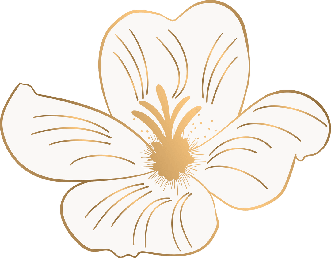 Transparent Minimalist Flower with Gold Outline on White Petals