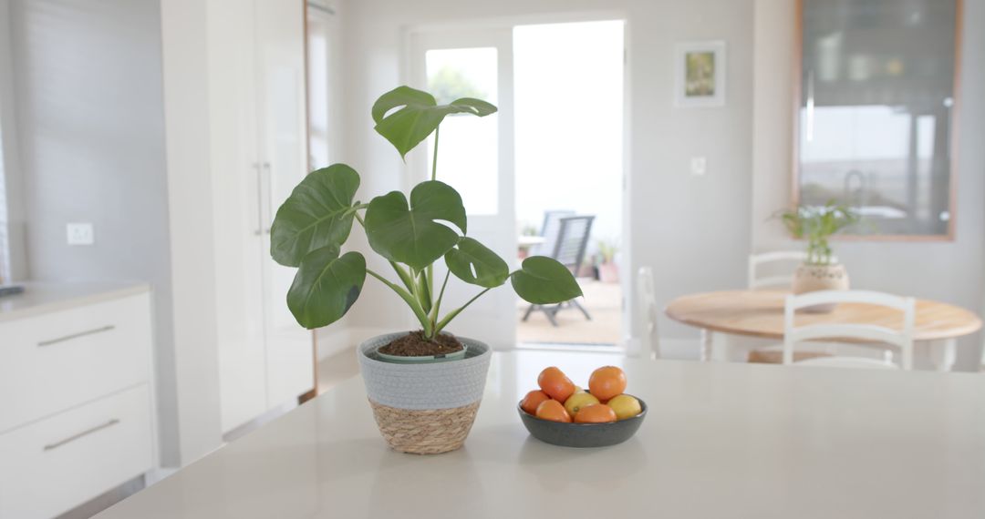 Potted Plant and Bowl of Fruit on Modern Kitchen Counter - Free Images, Stock Photos and Pictures on Pikwizard.com