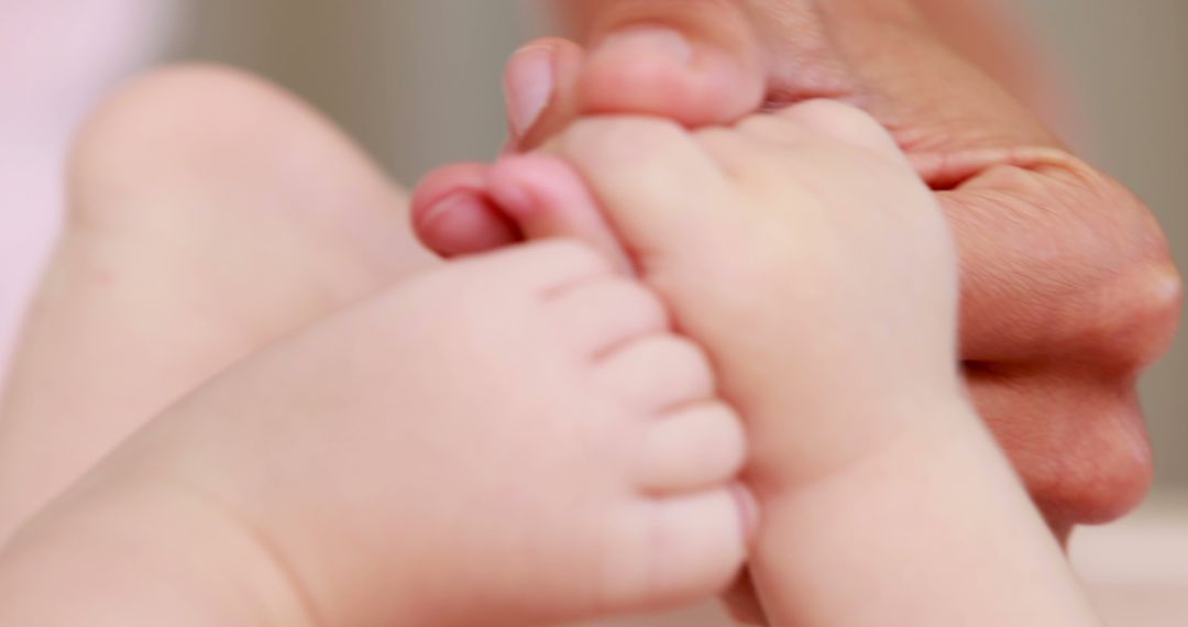 Close-Up of Parent and Baby Holding Hands - Free Images, Stock Photos and Pictures on Pikwizard.com