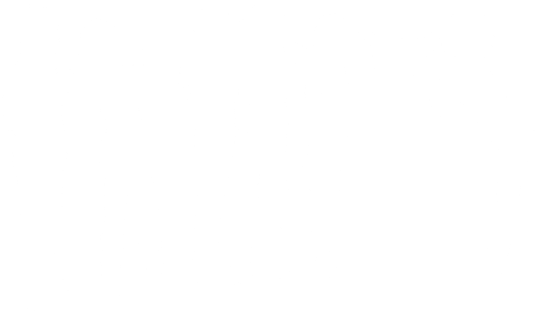 Silhouettes of Schoolchildren with Loudspeaker Transparent Background - Download Free Stock Images Pikwizard.com