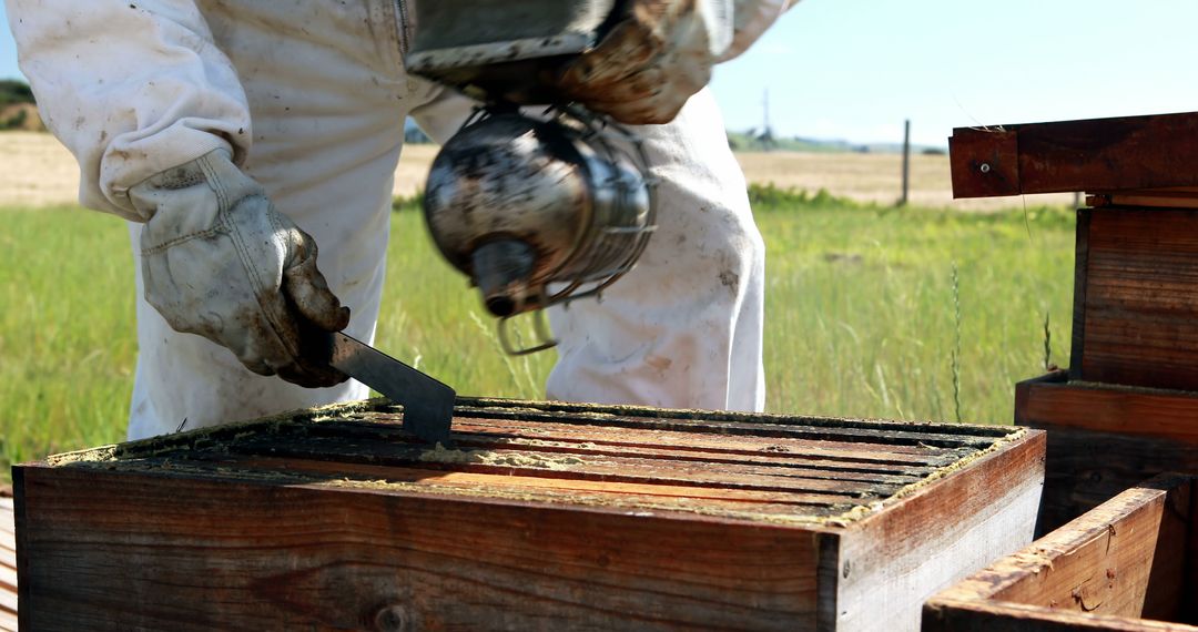 Beekeeper Working with Honeybee Hive in Rural Field - Free Images, Stock Photos and Pictures on Pikwizard.com