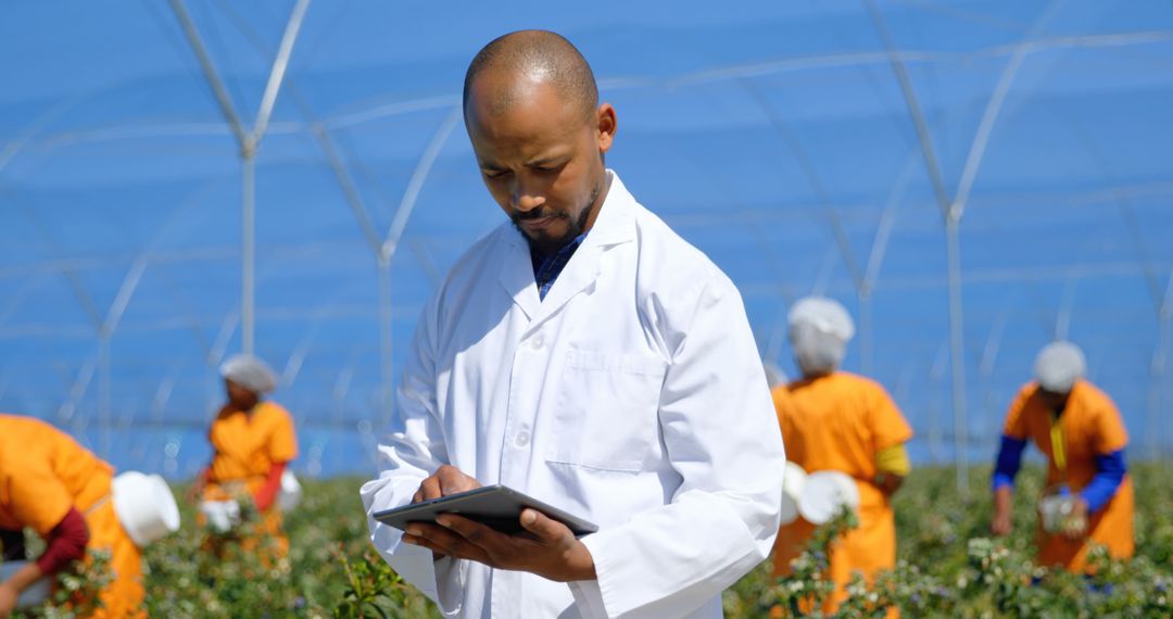 Agricultural Scientist Using Tablet in Greenhouse with Farm Workers - Free Images, Stock Photos and Pictures on Pikwizard.com