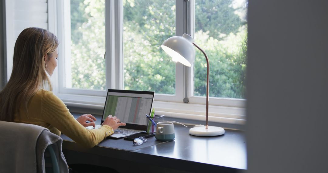 Woman Working on Laptop by Sunlit Window in Home Office - Free Images, Stock Photos and Pictures on Pikwizard.com