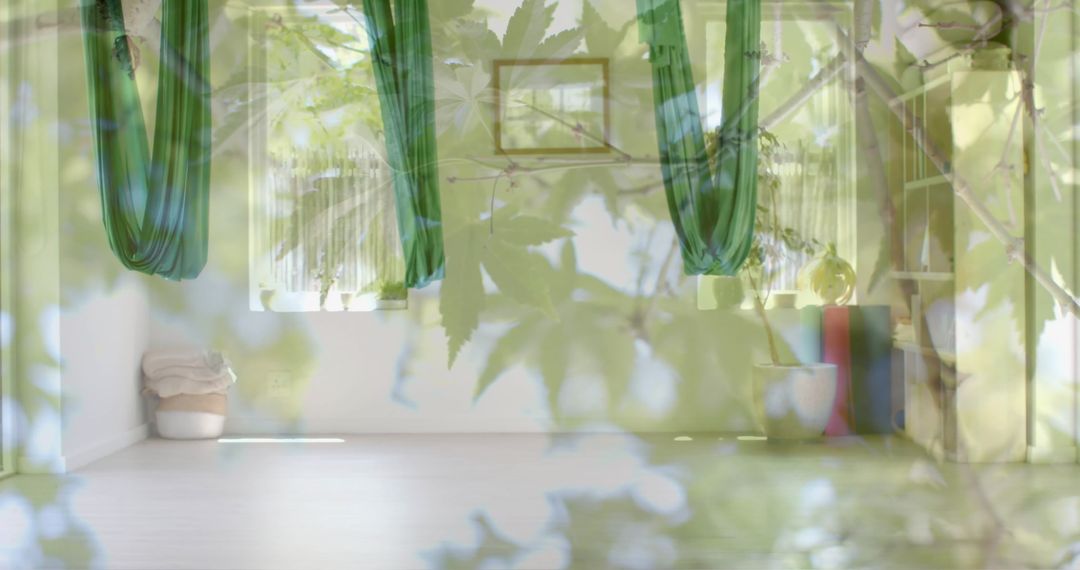 Aerial Yoga Room Overlaid with Nature Scene