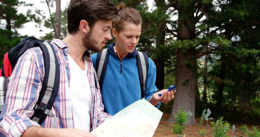 Focused Hikers Reading Map in Forest Adventure