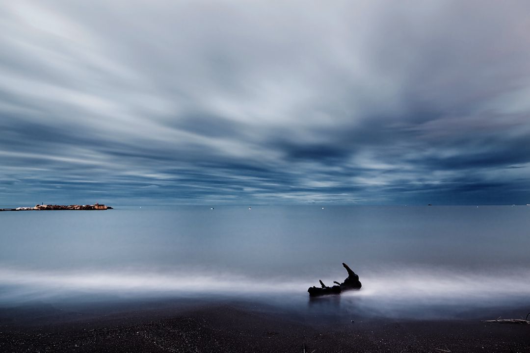 Tranquil Seascape with Driftwood Under Cloudy Sky - Free Images, Stock Photos and Pictures on Pikwizard.com