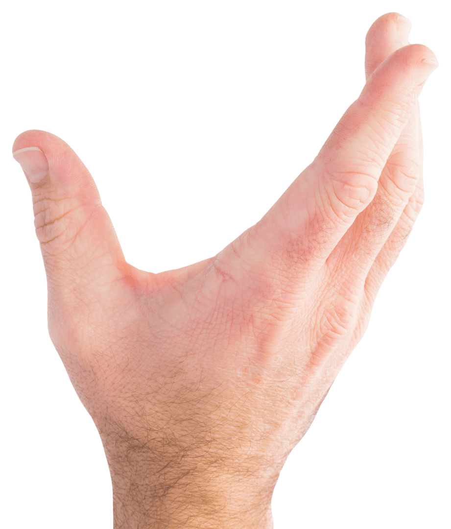 Open Palm Gesture Isolated on Transparent Background