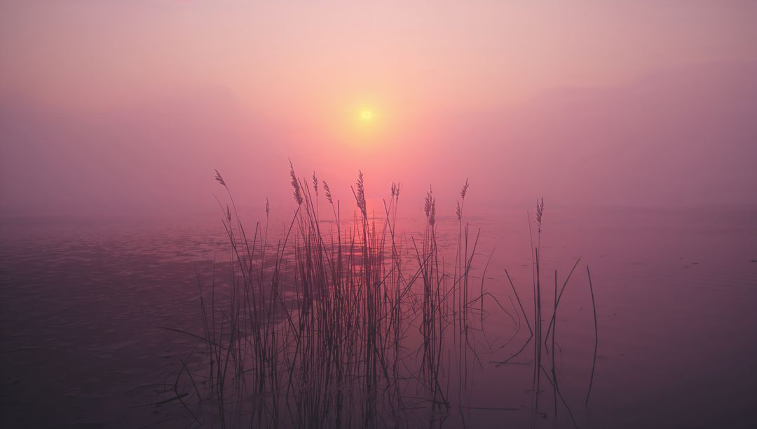 Misty Lakeshore Sunrise with Reeds Reflected in Still Water