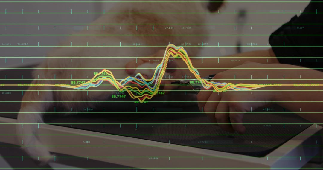 Veterinarian Using Monitoring Technology with Cat on Exam Table