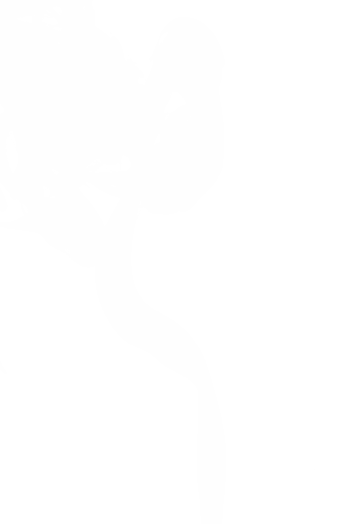 Transparent Smoke Swirls and Cloud Effect Illustration