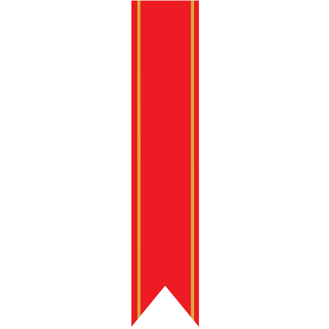 Red Decorative Ribbon on Transparent Background for Celebrations