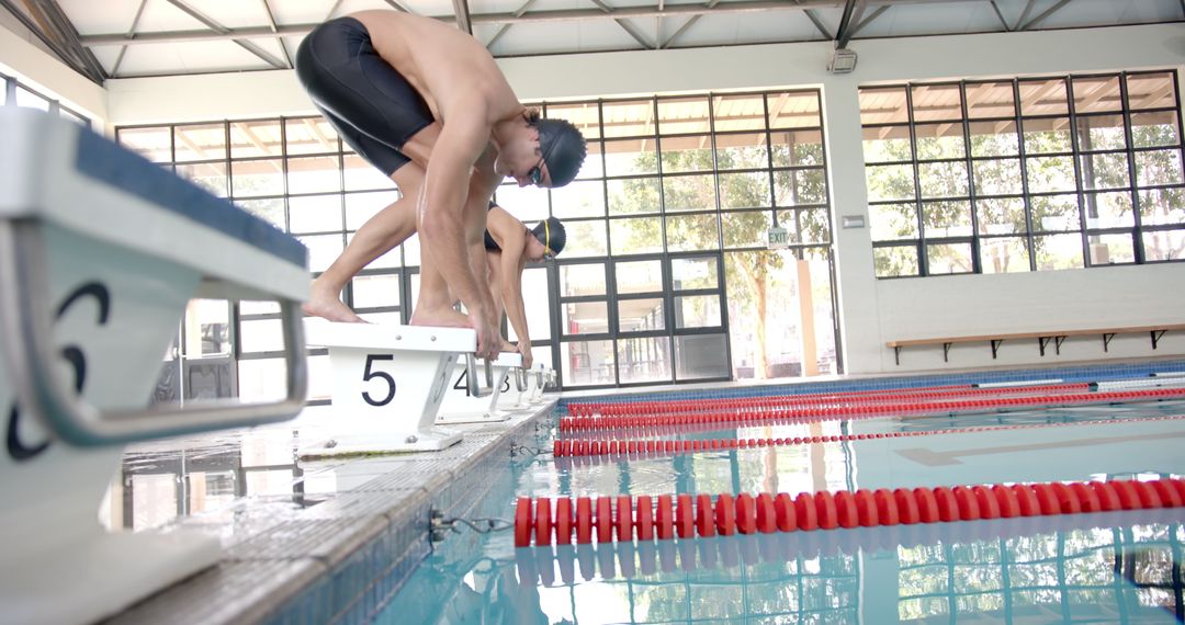 Swimmers Diving into Indoor Pool During Practice Session