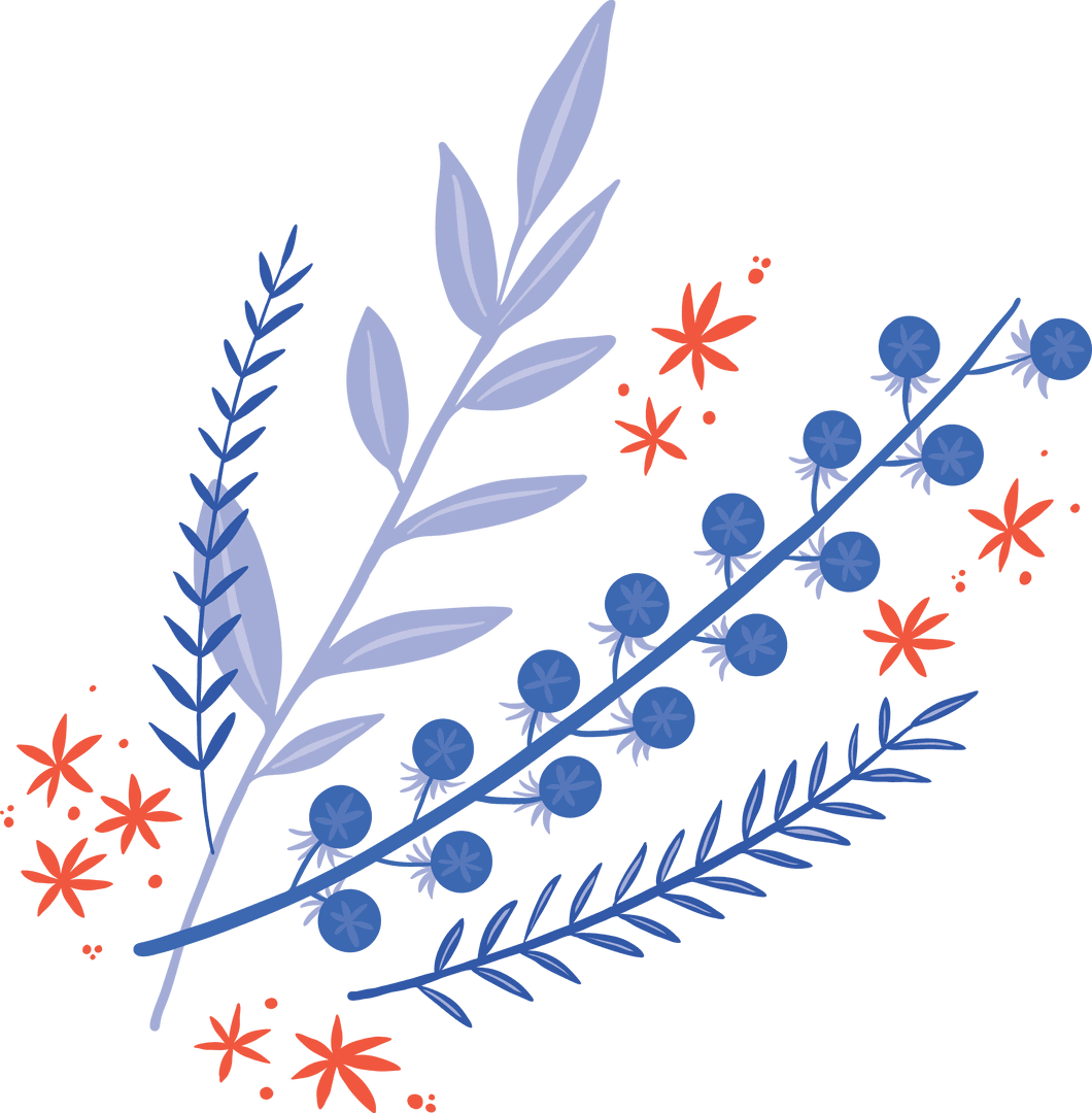 Artistic Floral and Botanical Arrangement with Transparent Background