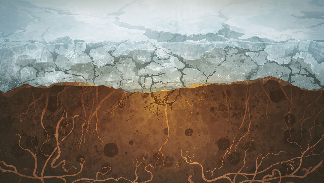 Subsurface Ice and Soil with Roots in Arctic Exploration Concept