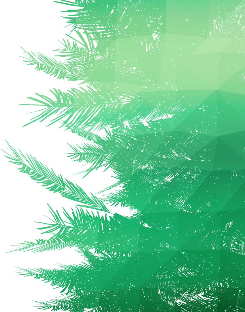 Transparent Green Palm Leaves with Sunlight Vector Background