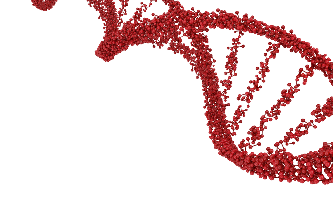 Transparent Red DNA Helix Structure with Molecule Details