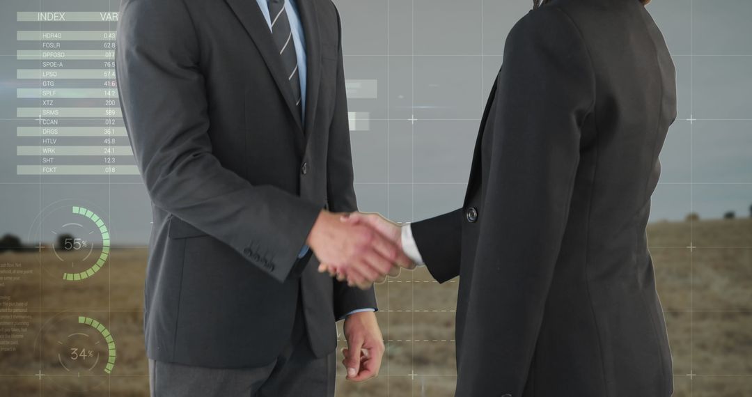 Professional Handshake in Digital Business Environment
